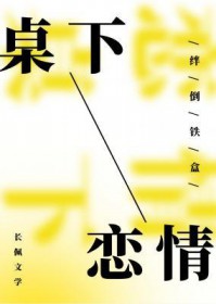 桌下置物架